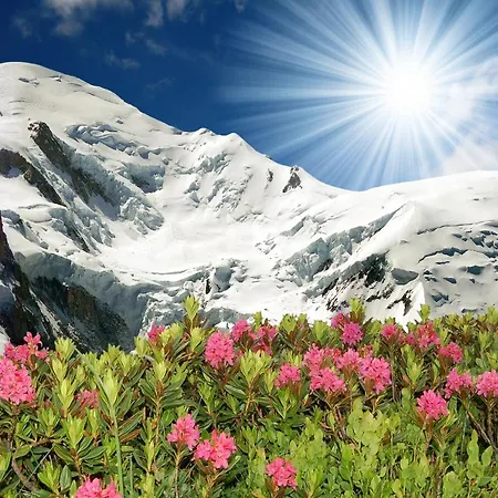 Sainte-foy-l'argentiere Sleeps 4 T454462